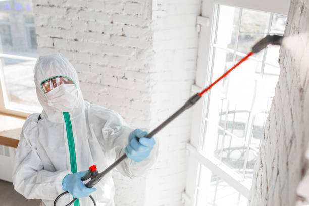 Best Mold Odor Removal Services  in Sharpsburg, NC