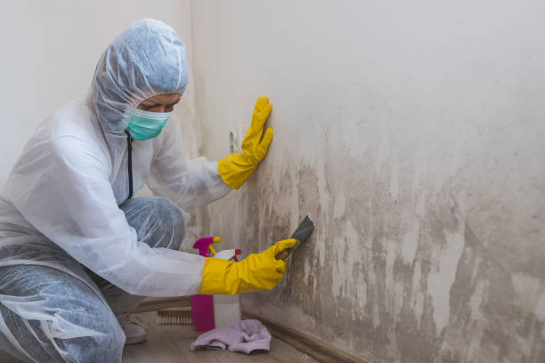 Best Forensic Mold Investigation  in Sharpsburg, NC